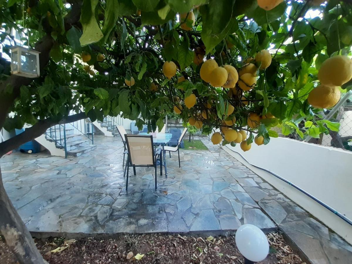 ארטמידה Cozy Apartments Near The Airport מראה חיצוני תמונה